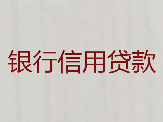 德州正规贷款公司